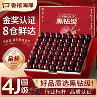 鲁禧海岸 车厘子 进口车厘子  2.7斤(净重) 2JD级