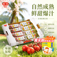 京鲜生 串收樱桃番茄迷你装123g*8条红黄双拼源头直发 赠黄天鹅溏心蛋3枚