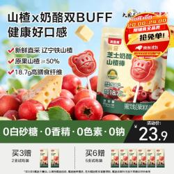 贝因美 芝士奶酪山楂棒90g 0添加山楂棒棒糖儿童零食特添膳食纤维益生元