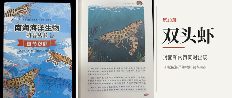 《南海海洋生物科普丛书》画出了双头虾，给孩子买科普书先看这5处