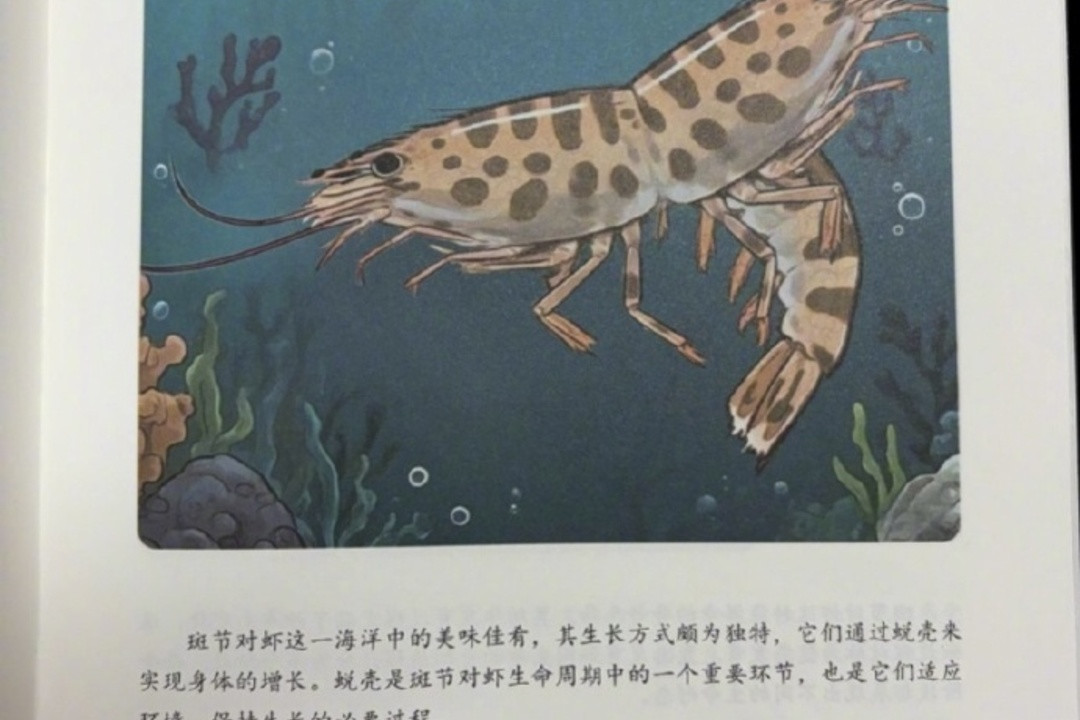 《南海海洋生物科普丛书》第13册《斑节对虾》内页