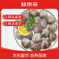 鲜京采 鲜活美贝 5斤（17-22粒/斤）大蛤蜊花蛤生鲜海鲜源头发