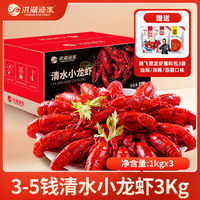 洪湖渔家 清水小龙虾（3-5钱净虾2.7kg）3kg送晓飞歌料包 无添加26年新虾