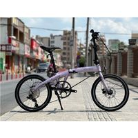 百亿补贴：大行 P10折叠自行车PAA003碟刹折叠车20寸油碟车10速DAHON MU P10