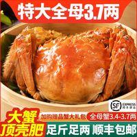 百亿补贴：今旺 鲜活大闸蟹3.4-3.7两螃蟹礼盒全母顺丰包邮足斤足两