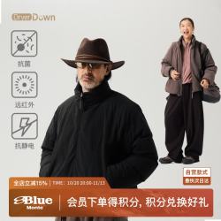 蓝岐 结构分割抗静电立领外套抗菌保暖750蓬拒水鹅绒服 乌朵云黑   S