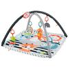 Fisher-Price 费雪 GDL83 琴琴健身架+GCK71 海马