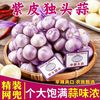 1/3/5条网兜装足干紫皮独头蒜新晒蒜头干蒜单条250g