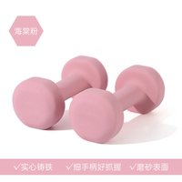 斯奕 哑铃女士健身家用2kg一对纯铁浸塑男青少年锻炼瘦手臂实心小哑铃