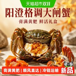 阳澄格调大闸蟹全母蟹鲜活螃蟹湖蟹现货水产礼盒海鲜礼盒