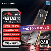移动端：威刚 XPG威龙Lancer D300 DDR5 6000 16G