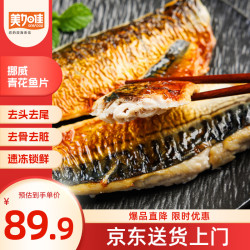 美加佳 挪威青花鱼片净重2斤（内分2袋装）鲭鱼片 去头去尾去脏去骨 挪威青花鱼片2斤 去脏去骨