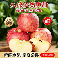 莎凰 新鲜水果当季现摘 脆甜多汁自然果香果园直发