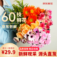 京东鲜花 玫瑰10枝+康乃馨10枝 色 花卉