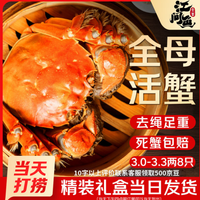 江问鱼 【活蟹】江问鱼 大闸蟹全母3.0两-3.3两 8只装 鲜活螃蟹生鲜礼盒送礼优选去绳足重