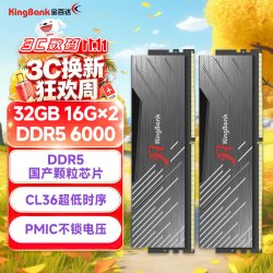 金百达 黑刃 DDR5 6000MHz 台式机内存 马甲条 黑色 32GB 16GBx2