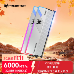 PREDATOR DDR5 台式机内存条 32GB  Vesta II炫光系列  台式机电脑装机配件  6000频率 C32银 32GB 1条套条 16*2