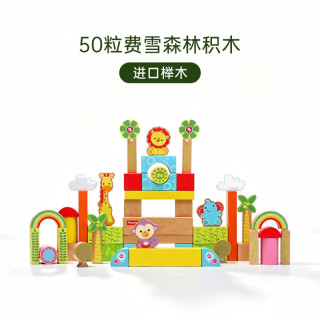 木玩世家 儿童积木 进口榉木 安全无害  50粒榉木积木