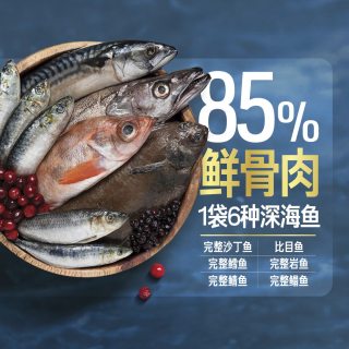 88VIP：Orijen 渴望 猫粮六种鱼美毛进口鱼肉营养进口猫粮5.4kg