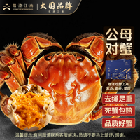 阳澄·江南 【活蟹】阳澄江南大闸蟹鲜活螃蟹礼盒 公蟹4.0-4.3两母蟹2.5-2.8两4对8只