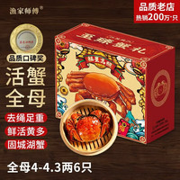 渔家师傅 大闸蟹 全母2.8-3.1两 10只 去绳足重
