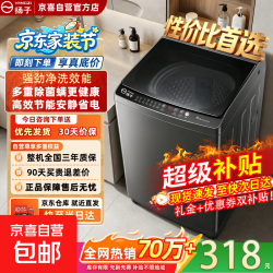 扬子 洗衣机10KG洗衣机全自动家用大容量一级能效租房宿舍波轮洗烘一体防缠绕 臻享系列