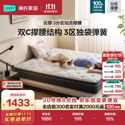 林氏家居 乳胶床垫1.8米x2米双人家用记忆棉云撑分区独立弹簧厚垫子CDT112
