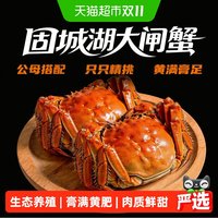 88VIP:椒乡 徽印固城湖大闸蟹2.8—3.2两母+3.3—3.7两公 4对8只