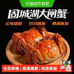 椒乡 徽印固城湖大闸蟹固城湖 2.3—2.7两母+2.8—3.2两公 4对8只