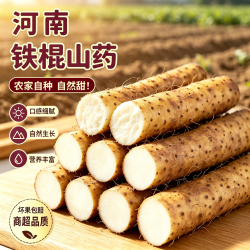 黄六爷 铁棍山药3斤