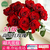 花间町 高原红传奇红玫瑰10支花鲜切花云南基地直发家用插花源头直发
