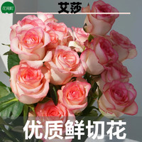花间町 玫瑰花鲜花A级艾莎10枝云南基地鲜切花束单头源头直发