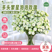 花间町 繁星A级多头泡泡小玫瑰10支云南基地直发鲜花花束情人节源头直发