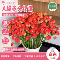 花间町 爱丽丝A级多头玫瑰10支鲜花云南基地鲜花水养家用速递源头直发