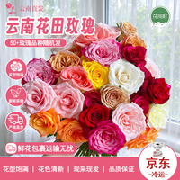 花间町 A级随机单色玫瑰10枝云南昆明基地玫瑰鲜切花家养玫瑰源头直发