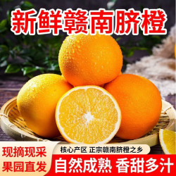庾丰 当季现摘新鲜赣南脐橙整箱水果手剥橙子孕妇甜橙子  团购 10斤（净果9斤）优选果 源头直发