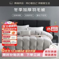 源生活100%白鸭羽毛被子被芯 羽毛绒丝秋冬被芯 约5斤 150*200cm 灰