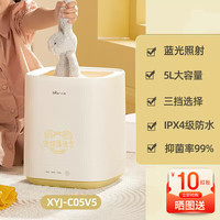 小熊 内衣裤迷你洗衣机小型迷你内裤清洗专用洗袜机洗袜子神器 XYJ-C05V5 内衣洗衣机