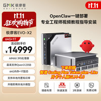 极摩客EVO-X2迷你主机
