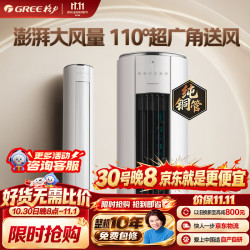 格力 空调 i尚Ⅱ代2匹柜机 超大风量10米送风65℃高温制冷 外机双排纯铜管 KFR-50LW/(50510)FNhAa-B1