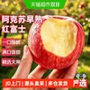 京运达 正宗新疆阿克苏早熟红富士苹果应当季新鲜水果丑苹果整箱