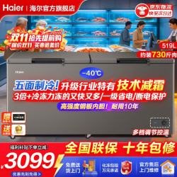 海尔 冰柜商用大容量家用冷柜冷藏冷冻两用300升以上一级能效节能卧式升
