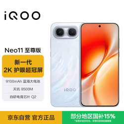 vivo iQOO Neo11 至尊版 手机 12GB+256GB 乘风
