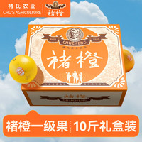 褚橙 褚氏农业 褚橙 单果果重105-140g 5kg 礼盒装