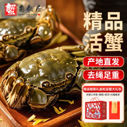 蟹叁钳庄 大闸蟹公5.5-5.8两母4.5-4.8两4对8只鲜活生鲜现货螃蟹礼盒