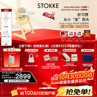 STOKKE 成长椅5件套TT婴儿多功能儿童高脚餐椅学坐椅 五件套含赠坐垫-柠檬黄-护栏-餐盘