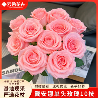 云舍花卉 戴安娜玫瑰鲜切花10枝室内家居软装送礼花束源头直发