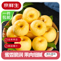 京鲜生 山东烟台维纳斯黄金苹果4.5斤装70-75mm 应季水果 源头直发 4.5斤单果70-75mm