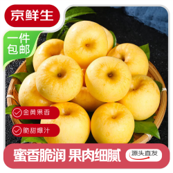 京鲜生 山东烟台维纳斯黄金苹果4.5斤装70-75mm 应季水果 源头直发 4.5斤单果70-75mm