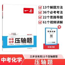 一本中考化学压轴题2027初中化学思维导图知识考点归纳七八九年级模拟必刷题真题专项训练解题方法总复习